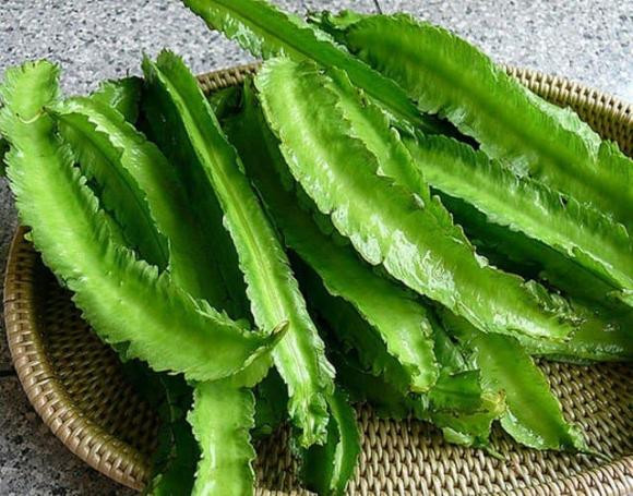 Loại quả được ví như 'vàng xanh', hỗ trợ điều trị nhiều chứng bệnh - Hình 3 Loai qua duoc vi nhu 'vang xanh', ho tro dieu tri nhieu chung benh-Hinh-3
