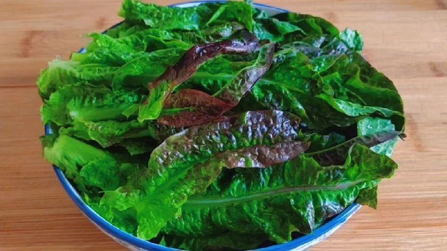 Loại rau bổ dưỡng, có axit folic gấp 20 lần cần tây - Hình 2 Loai rau bo duong, co axit folic gap 20 lan can tay-Hinh-2
