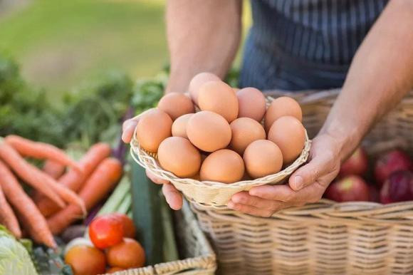 Ăn trứng vào buổi sáng tốt hay xấu cho cơ thể? An trung vao buoi sang tot hay xau cho co the?