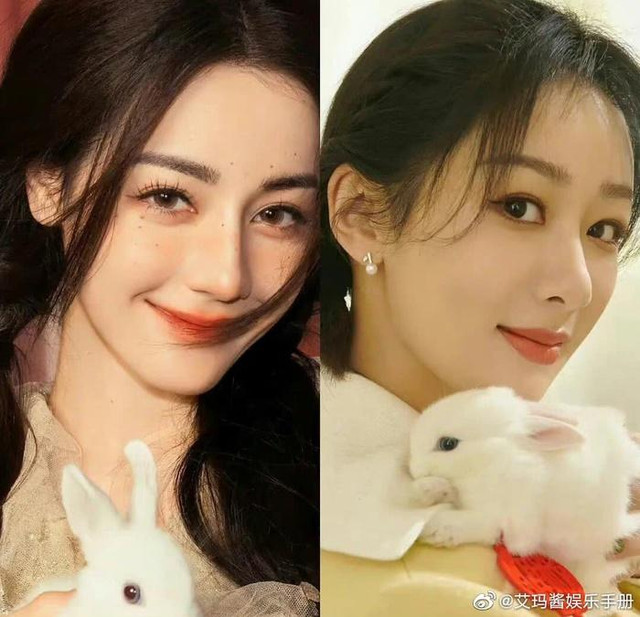 "Trận chiến" so kè nhan sắc giữa Địch Lệ Nhiệt Ba và Dương Tử - Hình 4