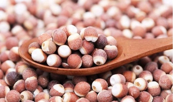 4 loại hạt là tứ đại bổ dưỡng, là kẻ thù của ung thư - Hình 4 4 loai hat la tu dai bo duong, la ke thu cua ung thu-Hinh-4