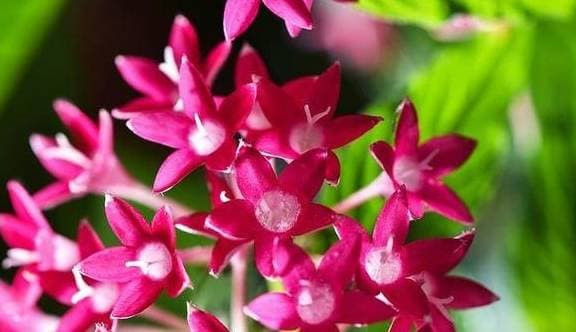 Hết xui xẻo, 3 chòm sao đón vận may trời cho từ tháng 2 âm - Hình 3 Het xui xeo, 3 chom sao don van may troi cho tu thang 2 am-Hinh-3