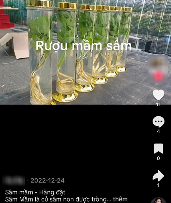 Chuyên gia nói gì về trào lưu ăn nhân sâm mầm cải thiện sức khỏe? - Hình 3 Chuyen gia noi gi ve trao luu an nhan sam mam cai thien suc khoe?-Hinh-3