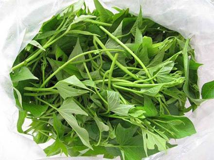 Loại rau được xem là “rau trường thọ”, mọc dại đầy ở Việt Nam - Hình 6 Loai rau duoc xem la “rau truong tho”, moc dai day o Viet Nam-Hinh-6