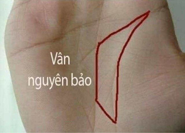 Ai có đường chỉ tay này, cả đời sung túc, giàu sang Ai co duong chi tay nay, ca doi sung tuc, giau sang