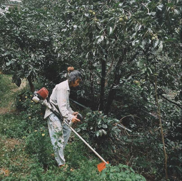 Chàng trai Cà Mau lên Đà Lạt tự làm vườn, dựng nhà đẹp như tranh - Hình 2 Chang trai Ca Mau len Da Lat tu lam vuon, dung nha dep nhu tranh-Hinh-2