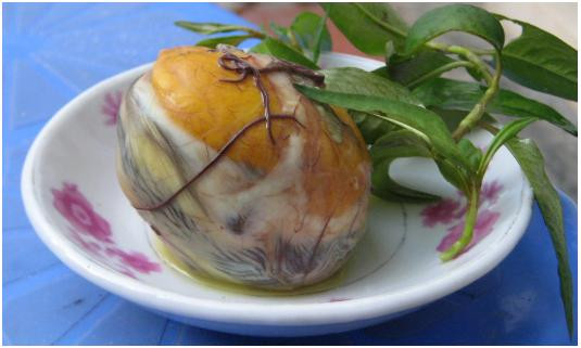 F0 ở nhà ăn 1 quả trứng vịt lộn vào thời điểm 'bổ tựa nhân sâm' - Hình 2 F0 o nha an 1 qua trung vit lon vao thoi diem 'bo tua nhan sam'-Hinh-2
