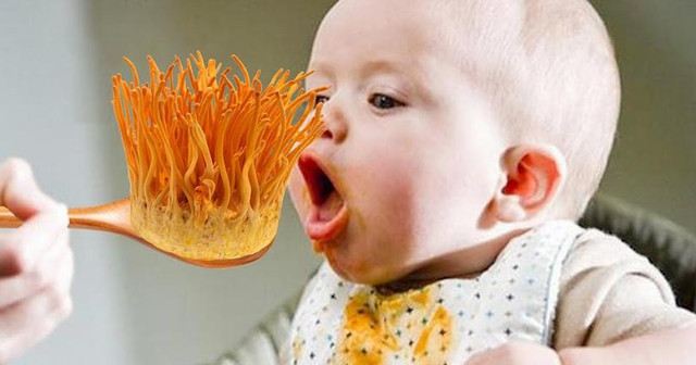 F0 đua nhau bồi bổ đông trùng hạ thảo, 4 đối tượng phải tránh xa! - Hình 2 F0 dua nhau boi bo dong trung ha thao, 4 doi tuong phai tranh xa!-Hinh-2