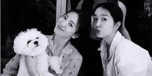 Song Hye Kyo kém sắc khi chung khung hình với mỹ nhân hơn tuổi - Hình 2 Song Hye Kyo kem sac khi chung khung hinh voi my nhan hon tuoi-Hinh-2