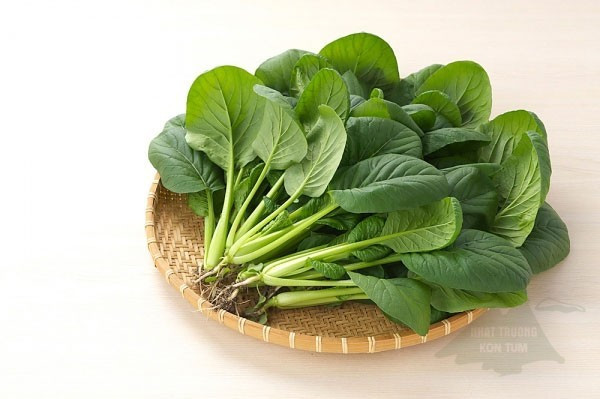 Rau chân vịt cực bổ dưỡng, nhưng ăn sai cách lại rất hại - Hình 3 Rau chan vit cuc bo duong, nhung an sai cach lai rat hai-Hinh-3