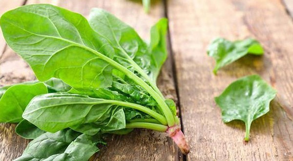 Rau chân vịt cực bổ dưỡng, nhưng ăn sai cách lại rất hại Rau chan vit cuc bo duong, nhung an sai cach lai rat hai