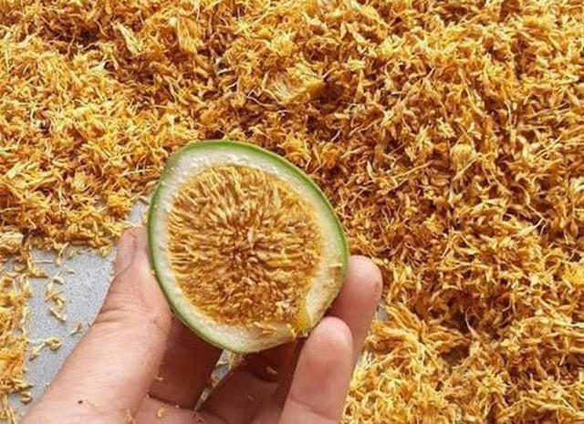 Xưa mọc dại không ai hái, nay dân hái bán 400.000/kg thành đặc sản nổi tiếng - Hình 6 Xua moc dai khong ai hai, nay dan hai ban 400.000/kg thanh dac san noi tieng-Hinh-6