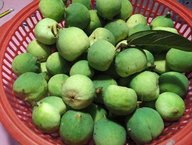 Xưa mọc dại không ai hái, nay dân hái bán 400.000/kg thành đặc sản nổi tiếng - Hình 2 Xua moc dai khong ai hai, nay dan hai ban 400.000/kg thanh dac san noi tieng-Hinh-2
