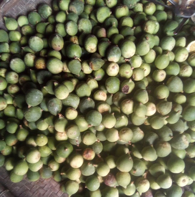 Xưa mọc dại không ai hái, nay dân hái bán 400.000/kg thành đặc sản nổi tiếng Xua moc dai khong ai hai, nay dan hai ban 400.000/kg thanh dac san noi tieng