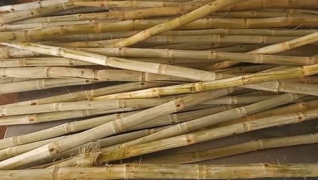 Nước mía 5.000 đồng/ly tuyệt chủng thời bão giá - Hình 2 Nuoc mia 5.000 dong/ly tuyet chung thoi bao gia-Hinh-2