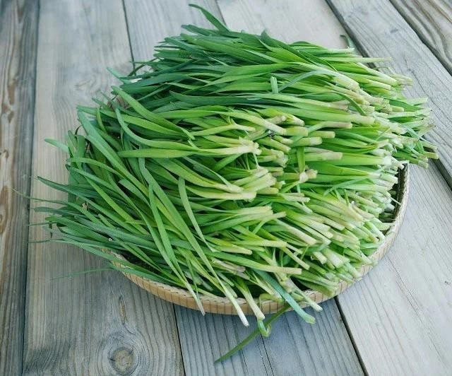 Những loại rau 'bổ hơn thịt' bán ngoài chợ giá rẻ bèo - Hình 2 Nhung loai rau 'bo hon thit' ban ngoai cho gia re beo-Hinh-2