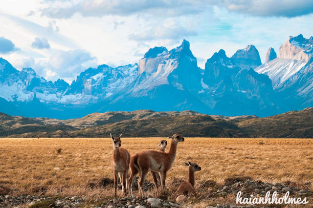 Cô gái mê "phượt" kể khoảnh khắc "đứng hình" trước kỳ quan ở Chile - Hình 2 Co gai me