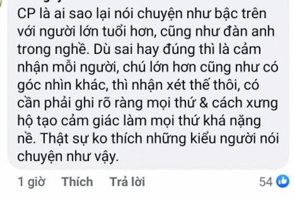Cát Phượng phản ứng gắt về lời nhắc nhở của nghệ sĩ Việt Anh - Hình 7 Cat Phuong phan ung gat ve loi nhac nho cua nghe si Viet Anh-Hinh-7