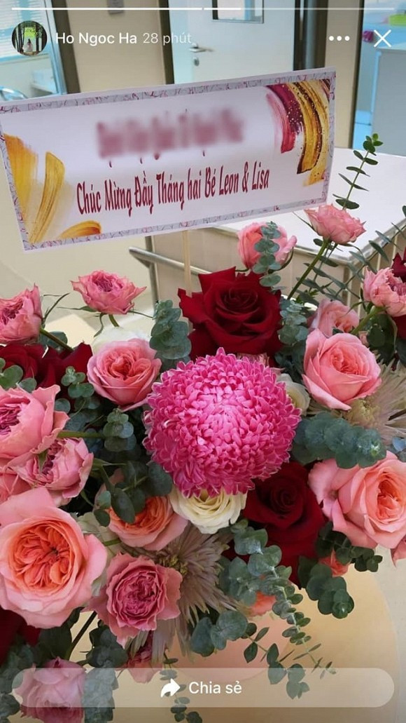 Mẹ Hồ Ngọc Hà khoe đầy tháng 2 cháu, chi tiết này gây chú ý - Hình 6 Me Ho Ngoc Ha khoe day thang 2 chau, chi tiet nay gay chu y-Hinh-6