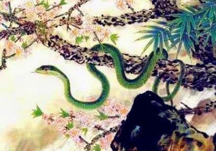 Từ 30/1 đến 18/2, Bồ Tát phù hộ 3 con giáp phát tài Tu 30/1 den 18/2, Bo Tat phu ho 3 con giap phat tai