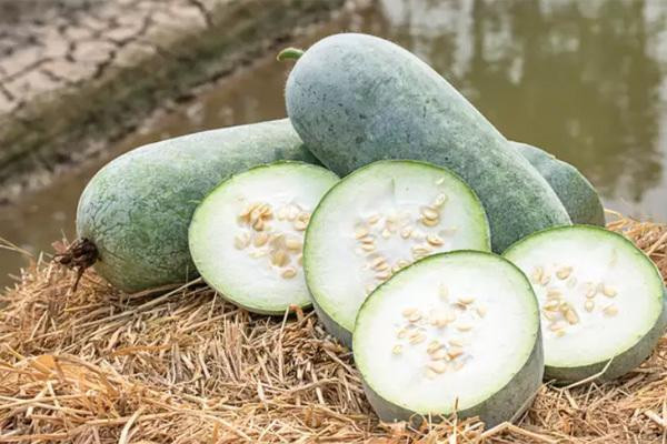 5 thực phẩm khử độc "khu tam giác", là con gái nhất định phải biết - Hình 5 5 thuc pham khu doc