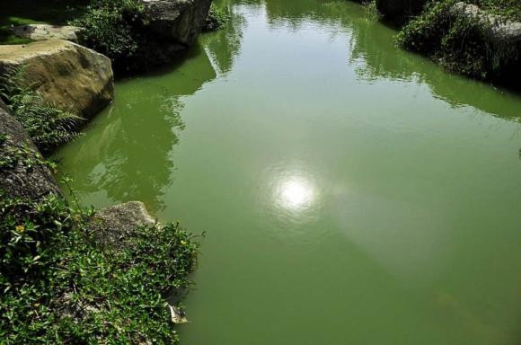 Cổ nhân dạy “Trước nhà không có ao, sau nhà không cửa sổ” - Hình 3 Co nhan day “Truoc nha khong co ao, sau nha khong cua so”-Hinh-3