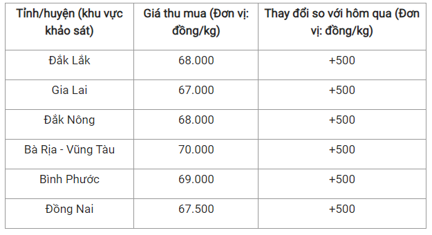 Giá tiêu hôm nay 7/7: Đồng loạt tăng trong nước Gia tieu hom nay 7/7: Dong loat tang trong nuoc