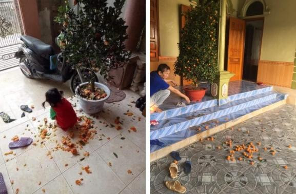 Cháu thăm nhà dịp Tết, ông hớt hải làm chuyện cả MXH cười bò - Hình 3 Chau tham nha dip Tet, ong hot hai lam chuyen ca MXH cuoi bo-Hinh-3