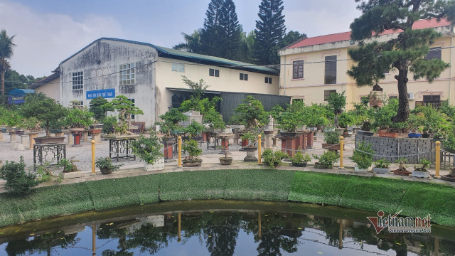 Vườn hội tụ những 'siêu cây' đình đám khắp 3 miền - Hình 2 Vuon hoi tu nhung 'sieu cay' dinh dam khap 3 mien-Hinh-2