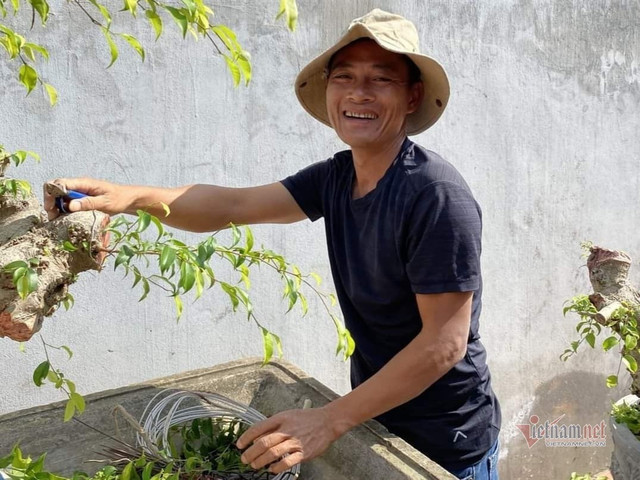 Vườn hội tụ những 'siêu cây' đình đám khắp 3 miền - Hình 13 Vuon hoi tu nhung 'sieu cay' dinh dam khap 3 mien-Hinh-13