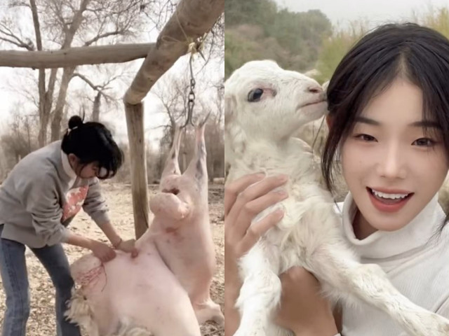 Cô gái trở thành sao mạng nhờ clip mổ thịt cừu Co gai tro thanh sao mang nho clip mo thit cuu