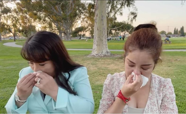 Thúy Nga khóc nghẹn: "Họ bày mưu tính kế đuổi tôi về Việt Nam" - Hình 2 Thuy Nga khoc nghen: