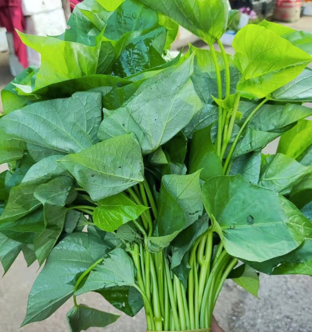 Loại rau bình dân chất xơ gấp 2 cần tây, vitamin gấp 2 cam Loai rau binh dan chat xo gap 2 can tay, vitamin gap 2 cam