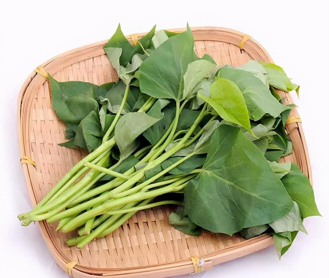 Loại rau bình dân chất xơ gấp 2 cần tây, vitamin gấp 2 cam - Hình 5 Loai rau binh dan chat xo gap 2 can tay, vitamin gap 2 cam-Hinh-5