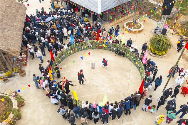 Du khách thích thú bắt dê, leo cột mỡ tại Hội Xuân Mở Cổng trời Du khach thich thu bat de, leo cot mo tai Hoi Xuan Mo Cong troi