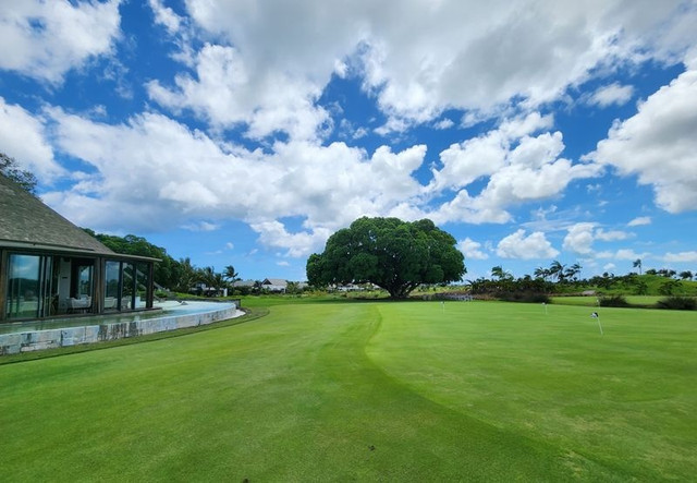 Mauritius- "đảo tỷ phú' được giới nhà giàu săn đón - Hình 2 Mauritius-