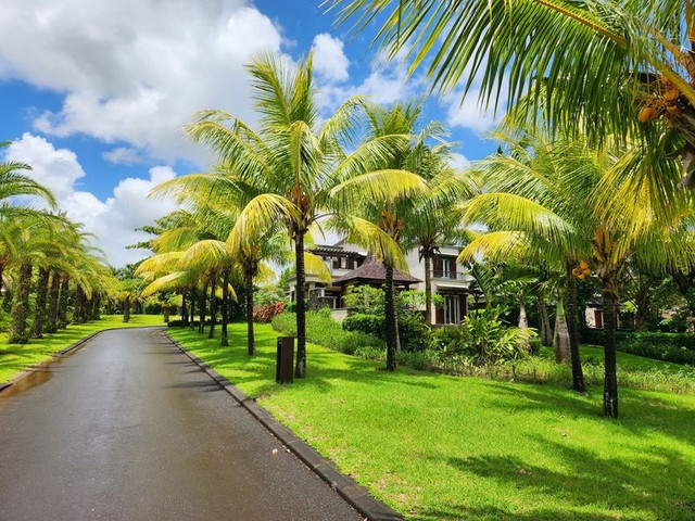 Mauritius- "đảo tỷ phú' được giới nhà giàu săn đón Mauritius-