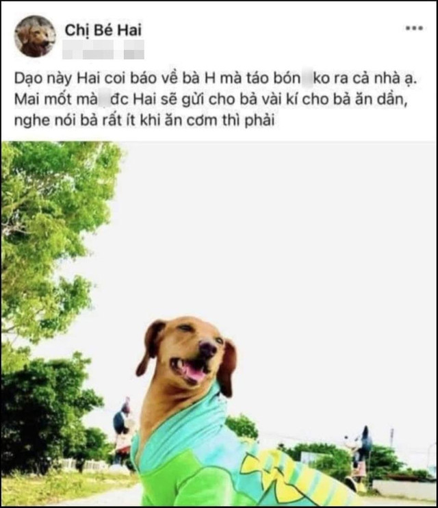 Xuân Nghị xin lỗi sau bài đăng cà khịa "bà H" rùm beng cõi mạng Xuan Nghi xin loi sau bai dang ca khia