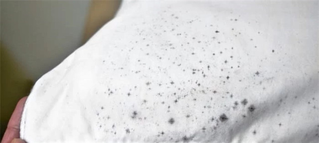Mẹo loại bỏ vết mốc mốc đen li ti trên áo trắng Meo loai bo vet moc moc den li ti tren ao trang