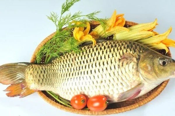 Cá chép cực giàu omega 3 giúp cải thiện sức khỏe tim mạch Ca chep cuc giau omega 3 giup cai thien suc khoe tim mach