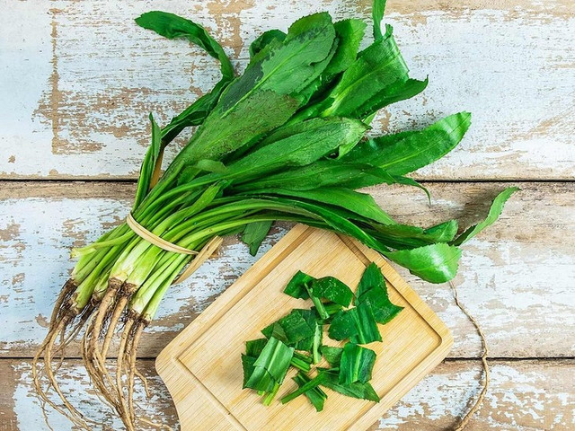 Tác dụng chữa bệnh của rau mùi tàu Tac dung chua benh cua rau mui tau