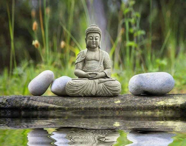 Ngựa không tranh tốc độ với trâu, chồng không tranh thắng thua với vợ Ngua khong tranh toc do voi trau, chong khong tranh thang thua voi vo
