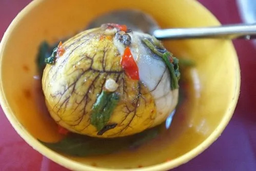 Nước trong quả trứng vịt lộn bổ như sâm? Nuoc trong qua trung vit lon bo nhu sam?