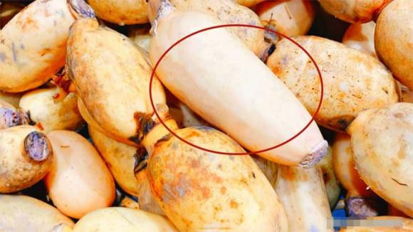 Mùa thu đừng mua 4 loại rau này, không bổ dưỡng - Hình 3 Mua thu dung mua 4 loai rau nay, khong bo duong-Hinh-3