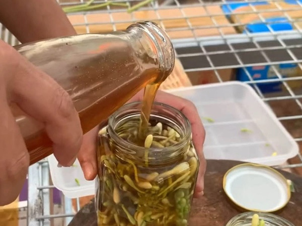 3 thứ quen thuộc đem ngâm với mật ong là thuốc bổ thượng hạng - Hình 2 3 thu quen thuoc dem ngam voi mat ong la thuoc bo thuong hang-Hinh-2