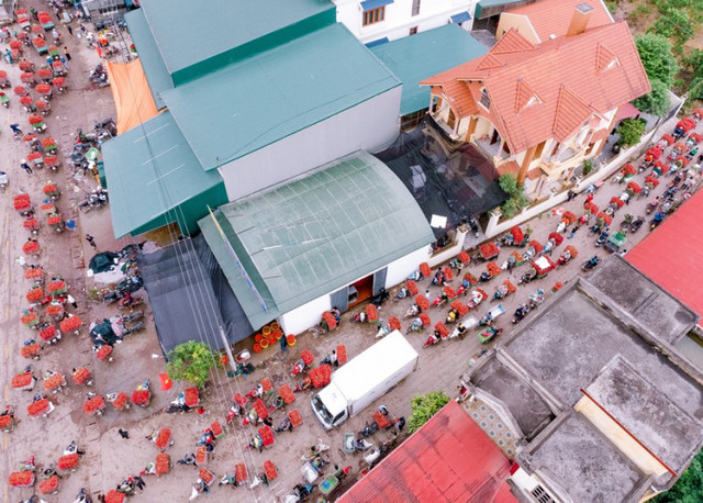 Cận cảnh: Màu vải chín nhuộm đỏ đường phố Bắc Giang - Hình 2 Can canh: Mau vai chin nhuom do duong pho Bac Giang-Hinh-2