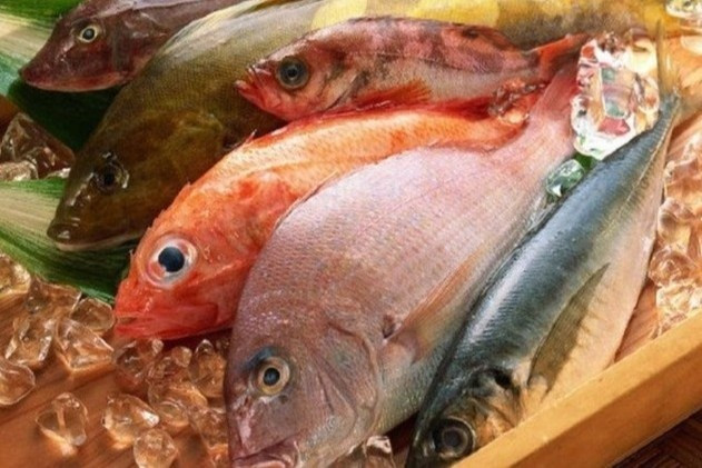 8 loại cá biển giàu dinh dưỡng tốt cho sức khỏe 8 loai ca bien giau dinh duong tot cho suc khoe