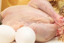 Người tập gym nên ăn thịt gà hay trứng để bổ sung protein? 