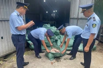 Quảng Ninh phát hiện gần 8 tấn chân gà không rõ nguồn gốc.