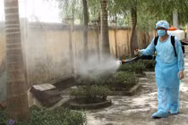 Hà Nội ghi nhận 336 trường hợp mắc sốt xuất huyết trong tuần qua